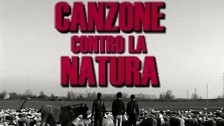 The Zen Circus 'Canzone contro la natura' music video