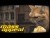 Run The Jewels 'Oh My Darling (Don't Meow)' music video