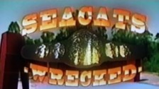 Seacats 'Wrecked' music video