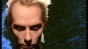 Peter Murphy 'Cuts You Up' Music Video