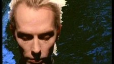 Peter Murphy 'Cuts You Up' music video