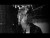 Don Broco 'Nightmare Tripping' music video