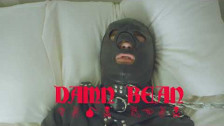 John-Robert 'Damn Bean' music video