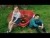 Tigers Jaw 'June' music video