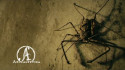 Apocalyptica 'En Route To Mayhem' Music Video