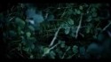 NEØV 'The Rain People' Music Video