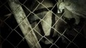 16 Barre/Watch the Dog 'Prigioni Mentali' Music Video