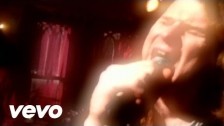 Screaming Trees 'Shadow Of The Season' music video