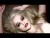 Sky Ferreira 'Red Lips' music video