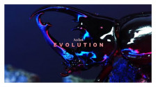Aedan 'Evolution' music video