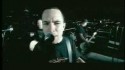 Millencolin 'Penguins And Polar Bears' Music Video
