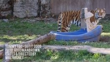 Tommy Too 'Get It Good' music video
