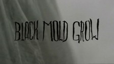 Levek 'Black Mold Grow' music video
