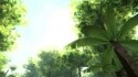Bataille Solaire 'Sauropodes & Acacias' Music Video