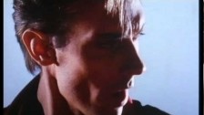 Peter Murphy 'Final Solution' music video