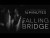 16 Minutes 'Falling Bridge' music video