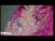 ADÉLA 'Nicole Kidman' music video