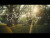 Gabby Barrett 'Glory Days' music video
