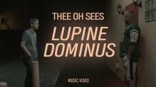 Thee Oh Sees 'Lupine Dominus' music video