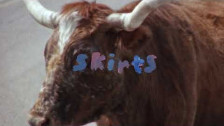Skirts 'Always' music video