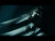 Tropic Gold 'sodium' music video