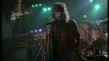 Aerosmith 'Dude (Looks Like A Lady)' music video
