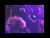 Witch 'Queenless King' music video