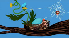 Iron & Wine 'Robin's Egg' music video