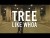 Tree 'Like Whoa' music video