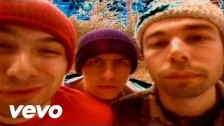 Beastie Boys 'So What Cha Want' music video