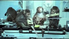 Basement Jaxx 'Where's Your Head At?' music video