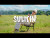 Guddhist Gunatita 'SULITIN' music video
