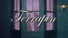 Clairo 'Terrapin' music video
