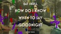 Eat Skull 'How Do I Know When to Say Goodnight' Music Video