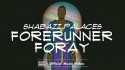Shabazz Palaces 'Forerunner Foray' Music Video