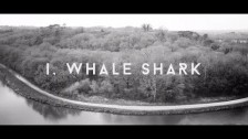 Eyjafjöll 'I, Whale Shark' music video