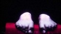 The Antlers 'Every Night My Teeth Are Falling Out' Music Video