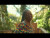 Anika Berry 'Ginger' music video