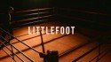 Littlefoot 'Did You See That' Music Video