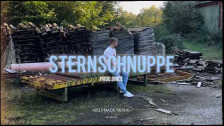 Luca $elfmade 'Sternschnuppe' music video