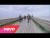One Direction 'You & I' music video