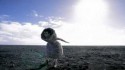 Björk 'Who Is It?' Music Video