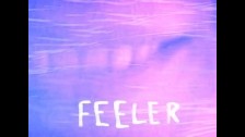 Sigh Down One 'Feeler' music video
