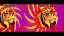 Sufjan Stevens 'Year Of The Tiger' music video