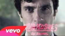Blood Red Shoes 'An Animal' music video