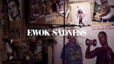 Marijuana Deathsquads 'Ewok Sadness' music video