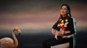 Kim Deal 'Nobody Loves You More' Music Video
