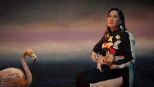 Kim Deal 'Nobody Loves You More' music video