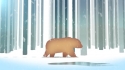 Steve Puddle and His Bivouac Band 'Cold Hearted Land' Music Video