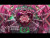 HYO x 4B 'DEEP' music video